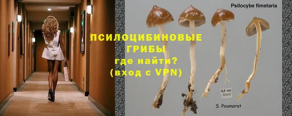apvp Мурманск