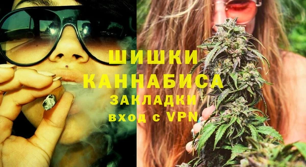 стаф Братск
