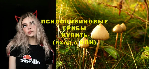 MDMA Бородино