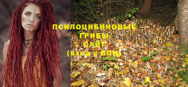 тгк Бугульма