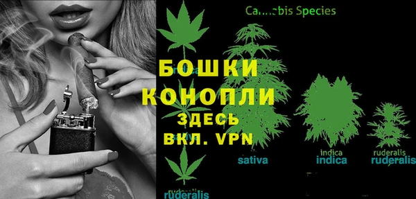 MDMA Бородино