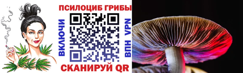 Псилоцибиновые грибы мицелий  как найти   Вилючинск 